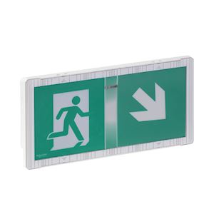 Exiway Smart - Bloc de secours luminaires sur source centrale - évacuation - IP65 tension d'alimentation 48 VCC  230 Volts