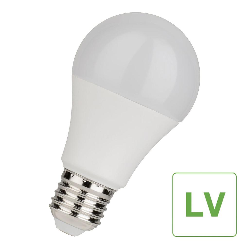 BAILEY Ampoule LED A60 E27 60x110mm 30V-32V-36V-42V-48V-50V-60V AC/DC 5W (40W) 470lm 2700K