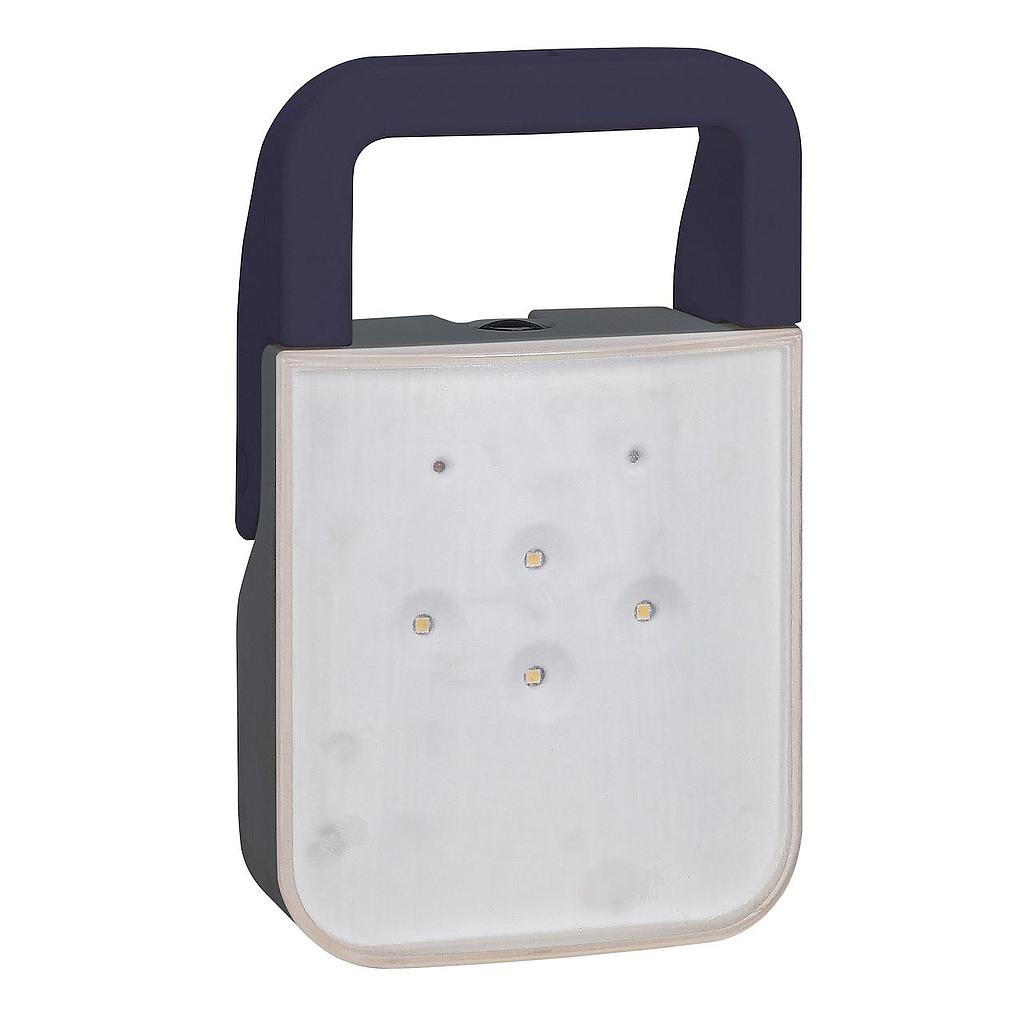 LEGRAND Lampe BAPI à LEDs 100 lm IP55 IK08 - 1,8W avec batteries Ni-Cd et 230V - gris à détection de coupure de courant - DS